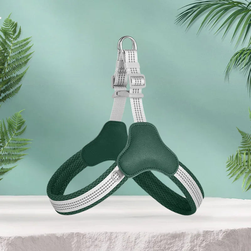 harnais chien couleur vert