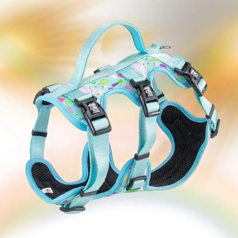 Harnais pour chien en H de couleur turquoise imprimé ballon.