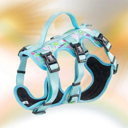 Harnais pour chien en H de couleur turquoise imprimé ballon.
