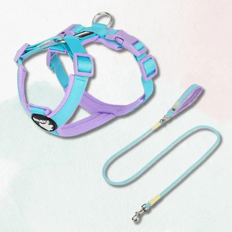 Un harnais pour chien en H de couleur bleu et rose avec laisse assortie.