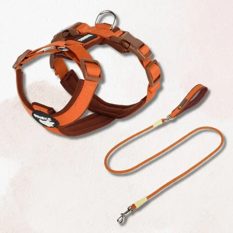 Un harnais pour chien de couleur orange avec une laisse assortie.