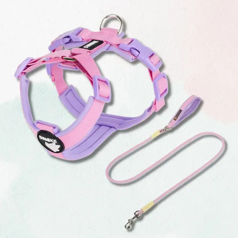 Un harnais pour chien rose avec une laisse assortie.