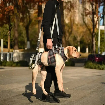 Un homme porte son labrador en bandoulière pendant qu'il marche sur le trottoir avec le harnais pour chien handicapé.