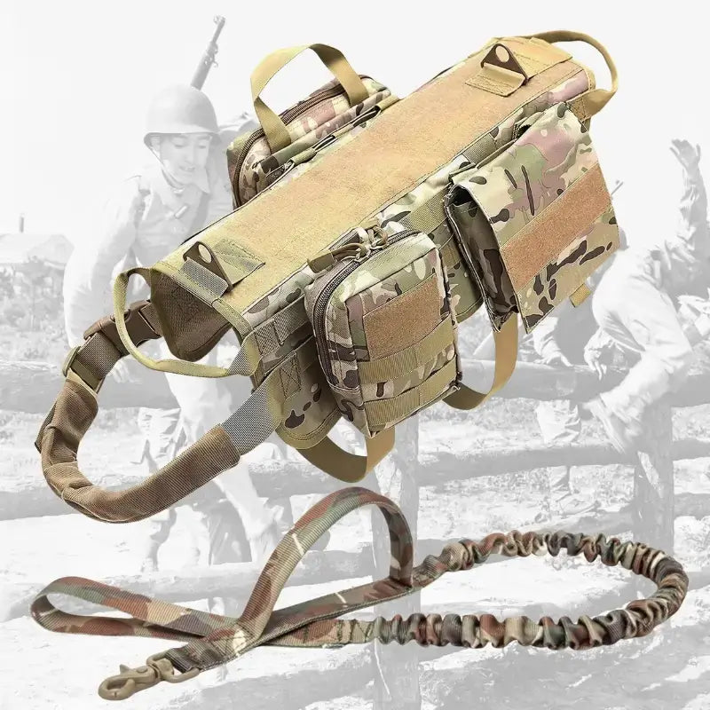 Un harnais tactique pour chien avec une laisse assortie de couleur vert camouflage.