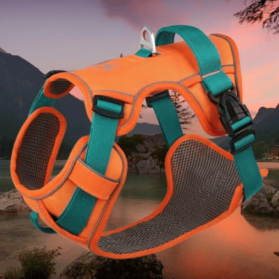 harnais chien paysage arriere harnais orange vert
