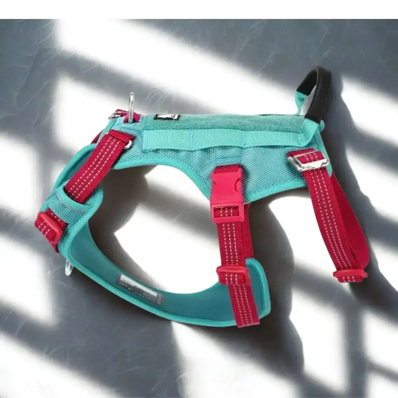 Un harnais pour chien personnalisé de couleur turquoise.
