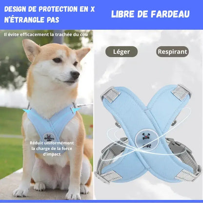 Visuel de la conception du harnais pour chien en X.