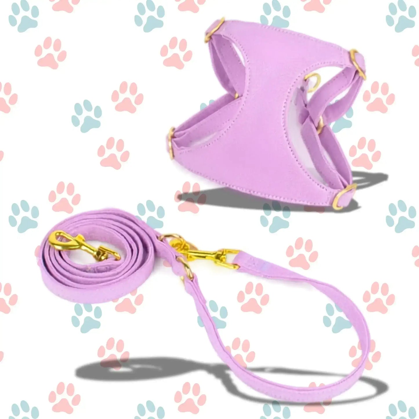 Un harnais pour chihuahua de couleur violette avec la laisse assortie.