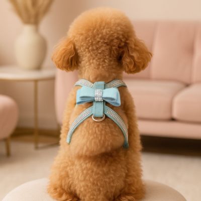 harnais chiot couleur bleu