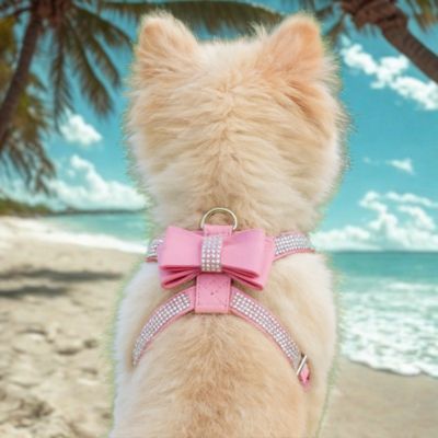 harnais chiot couleur rose