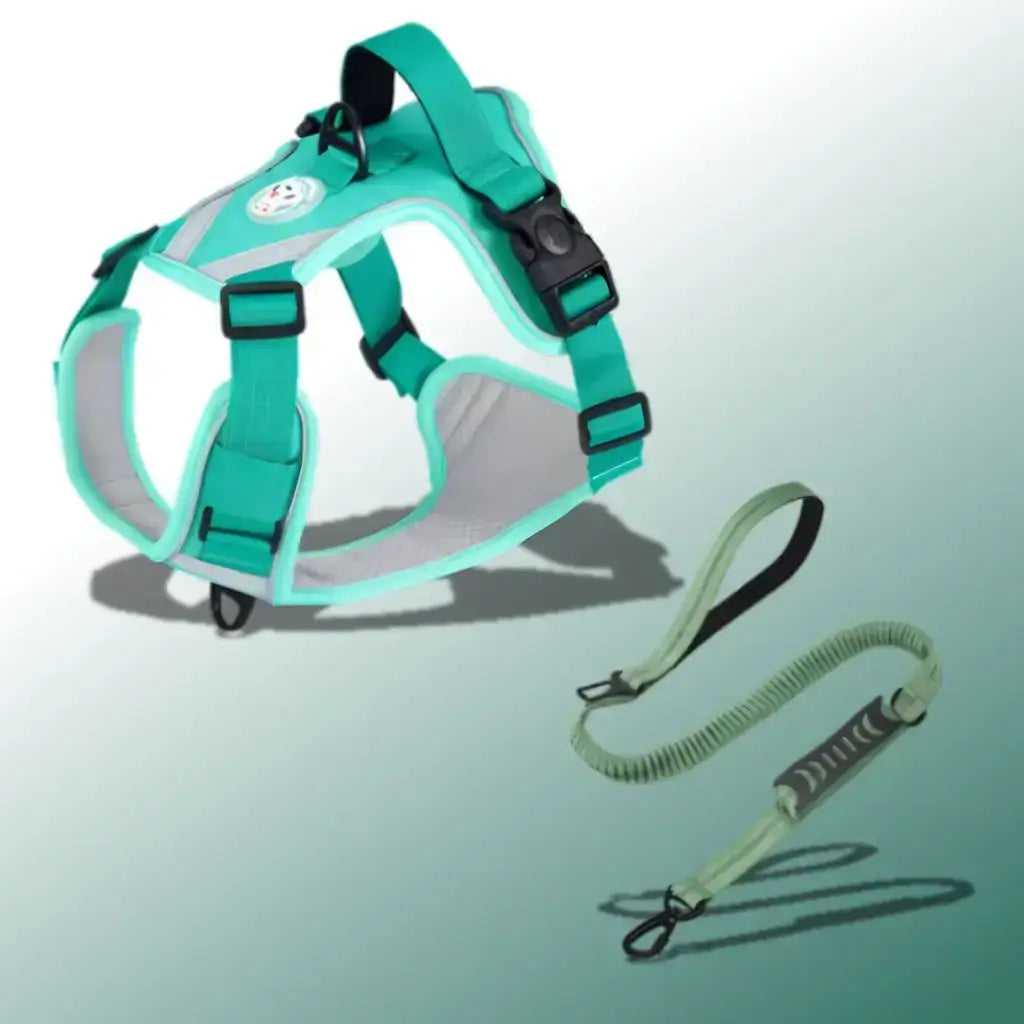 Un harnais confort pour chien de couleur turquoise avec une laisse assortie.