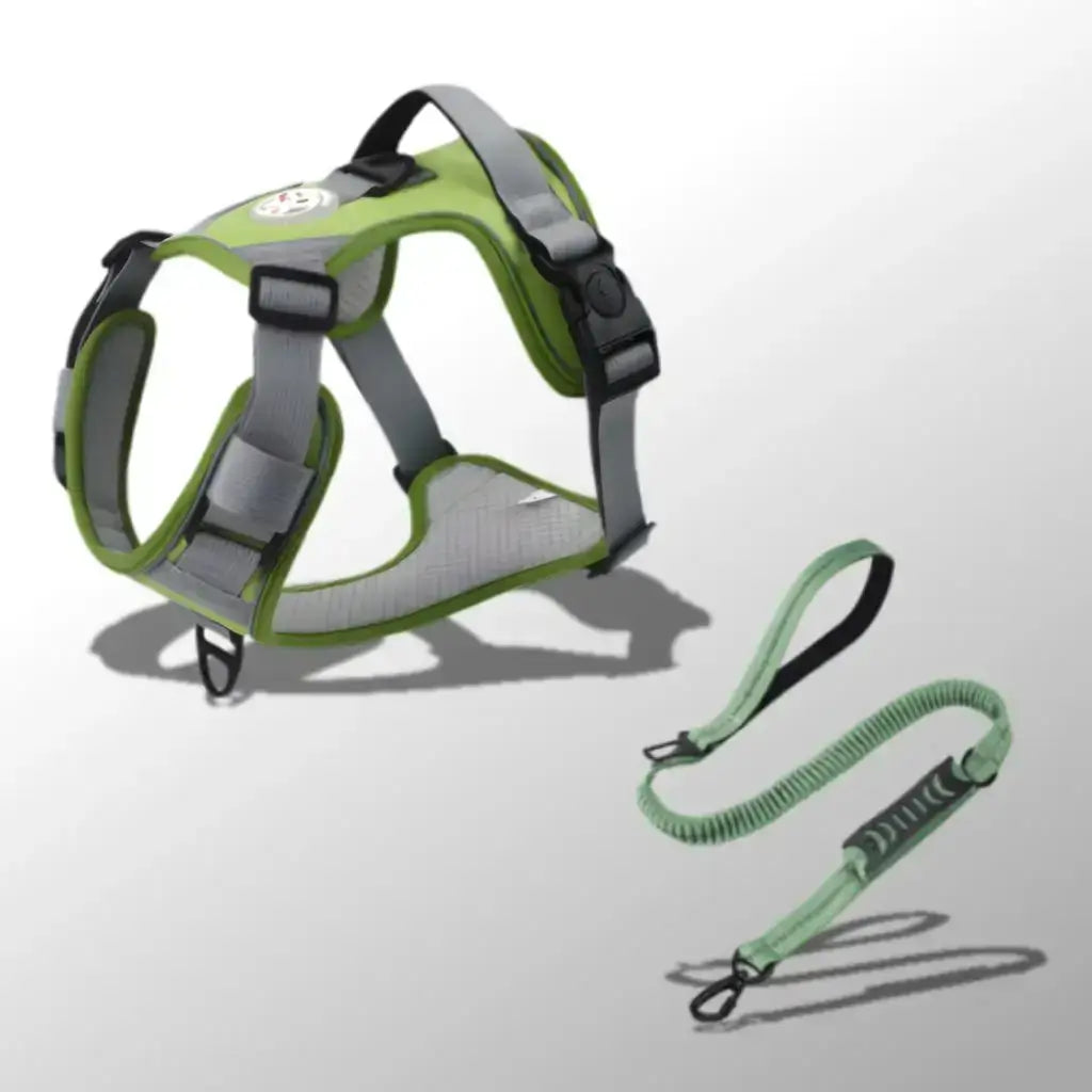 Un harnais confort pour chien de couleur verte avec une laisse assortie.