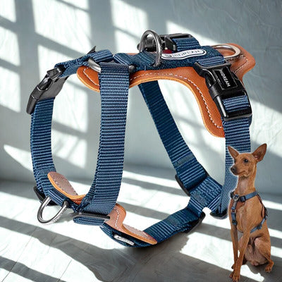 harnais couleur bleu brun