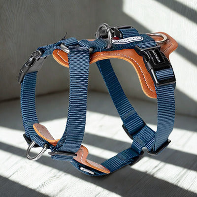 harnais couleur bleus brun