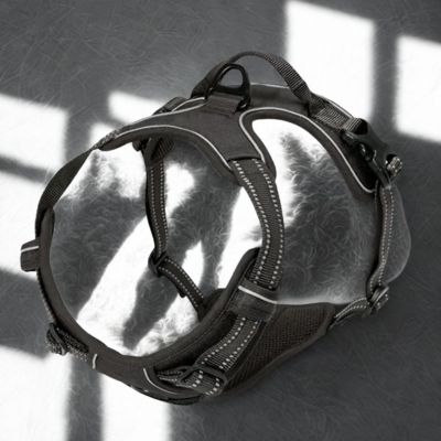 harnais couleur noir reflechissant