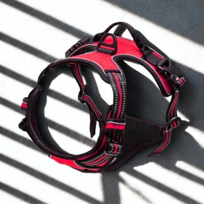 harnais couleur rouge reflechissant