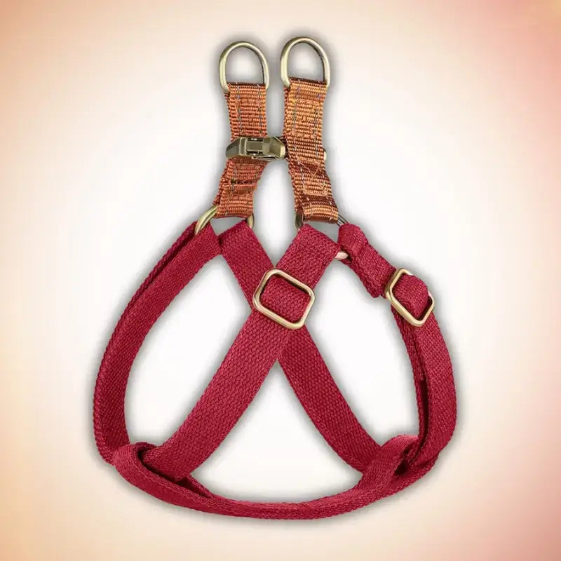 Un harnais pour chien en nylon de couleur rouge.