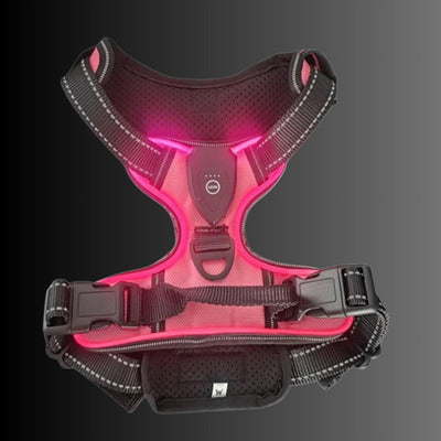 harnais lumineux couleur rose fluo