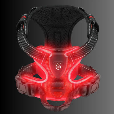 harnais luminueux couleur rouge fluo