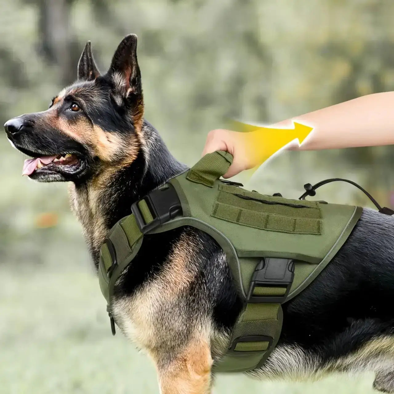 Une vue latérale d'un berger allemand avec un harnais militaire pour chien vert armé.