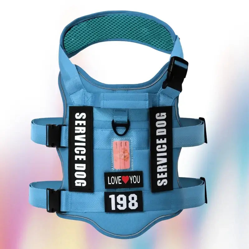 Un harnais personnalisable pour chien couleur bleue pâle.