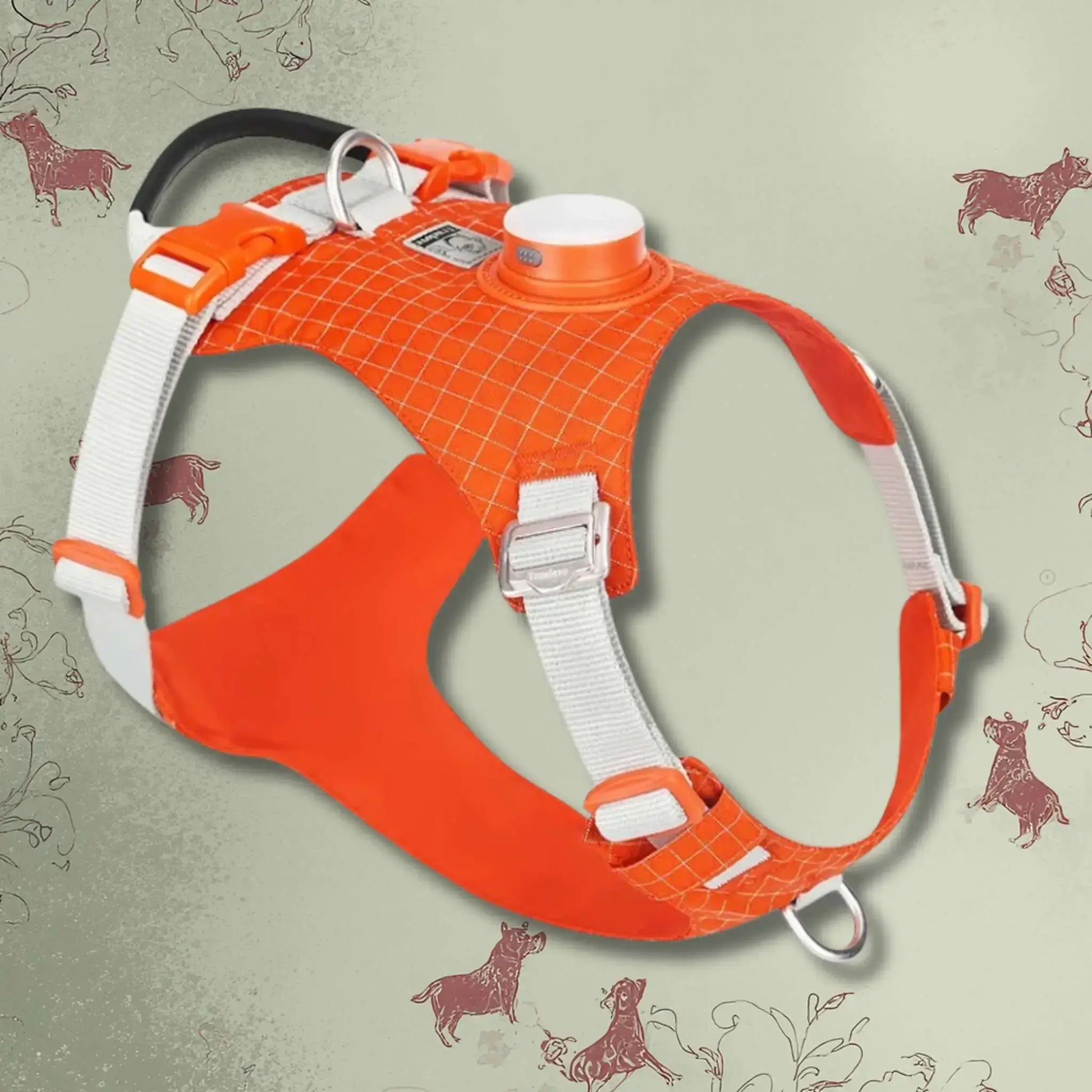 Un harnais pour petit chien orange avec poignée.