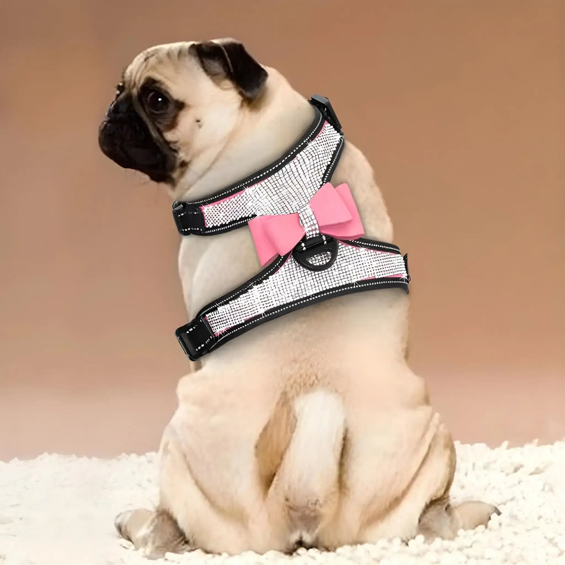 Un carlin assis vu de dos est vêtu d'un harnais pour chien rose et noir avec strass.