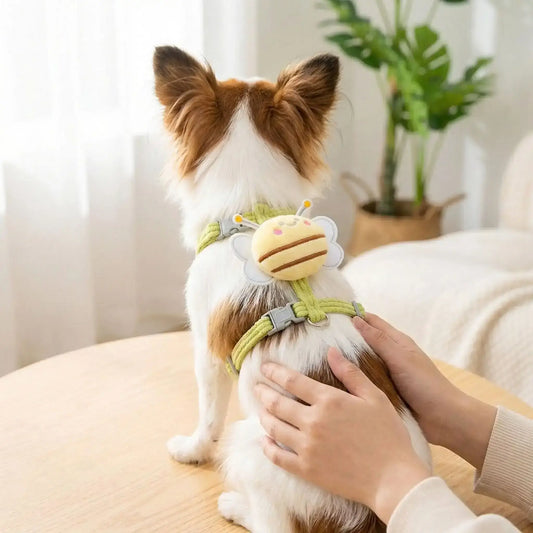 Un chihuahua vu de dos sur une table porte un harnais pour chien vert au design d'abeille.