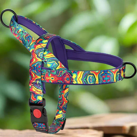 Harnais pour Chien - DogSafeHarness™ - Violet - Jolianimaux