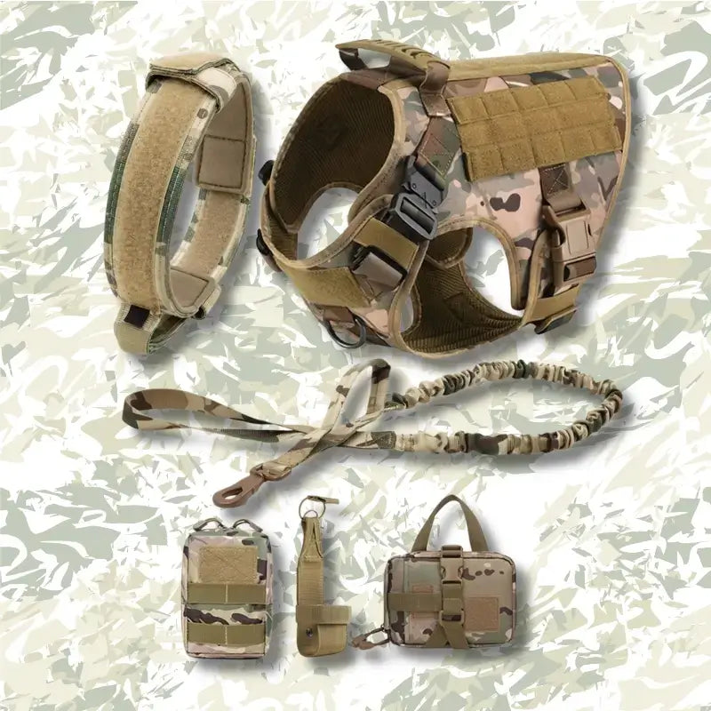 Ensemble du harnais de couleur camouflage.