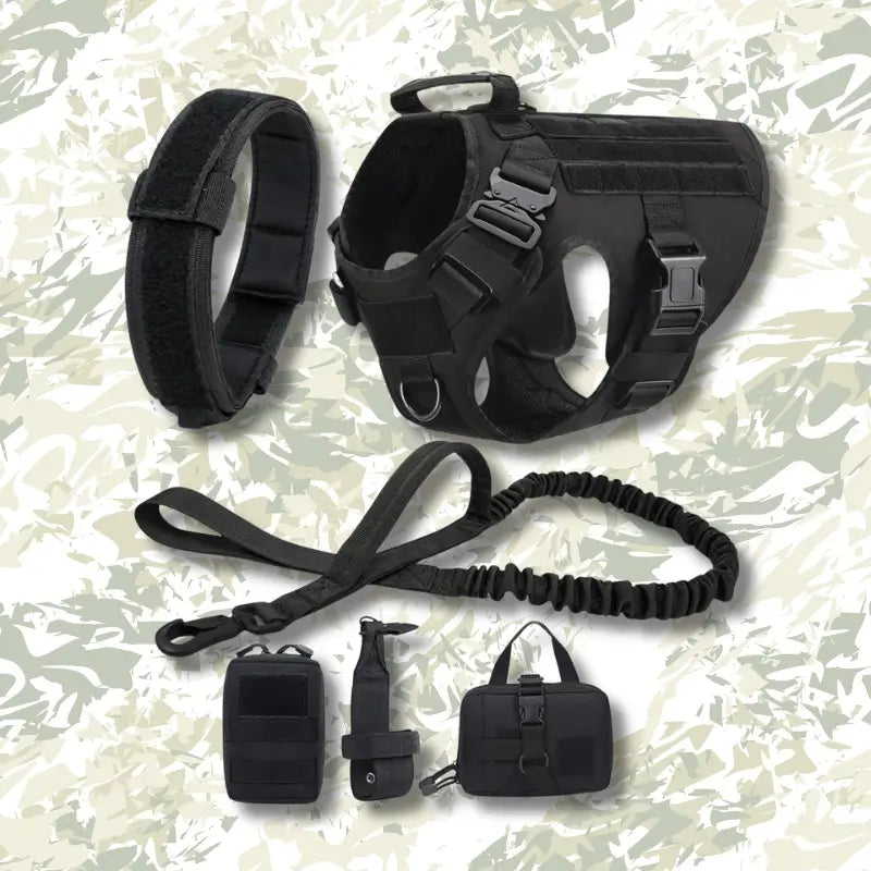 Ensemble du harnais pour chien militaire de couleur noir.