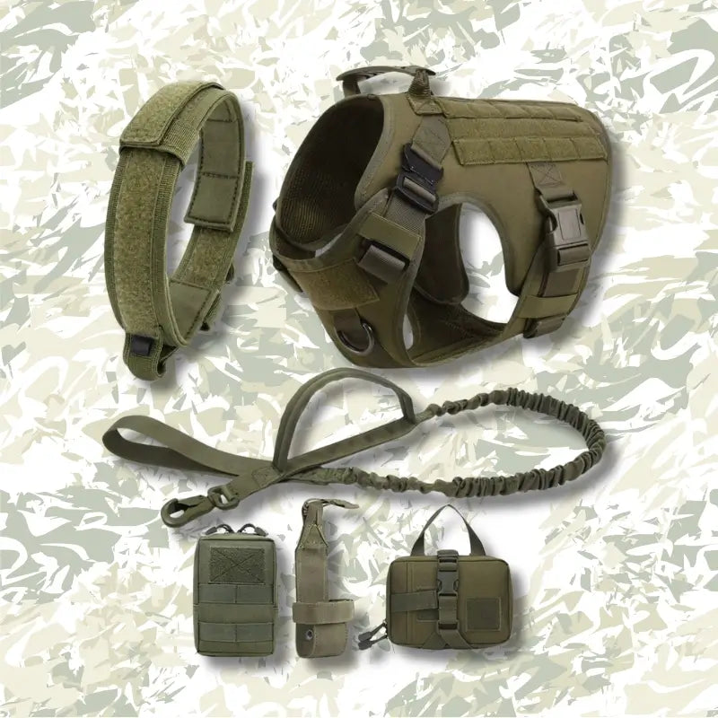 Ensemble vert armé du harnais pour chien militaire.