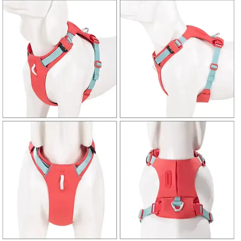 Un harnais pour chiens de couleur rose rouge. 