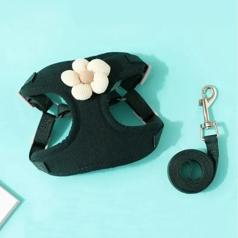 Un harnais pour petit chien de couleur noire avec une laisse assortie.