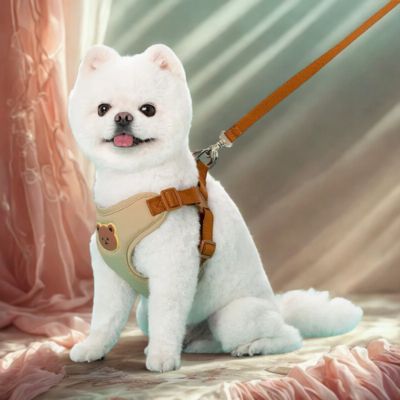 harnais pour petit chien couleur beige