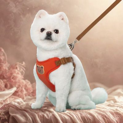 harnais pour petit chien couleur rouge