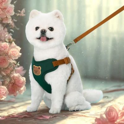 harnais pour petit chien couleur  vert