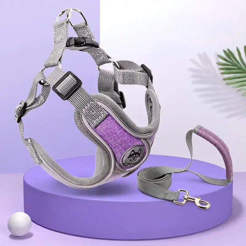 un harnais de couleur violet avec une laisse assortie.