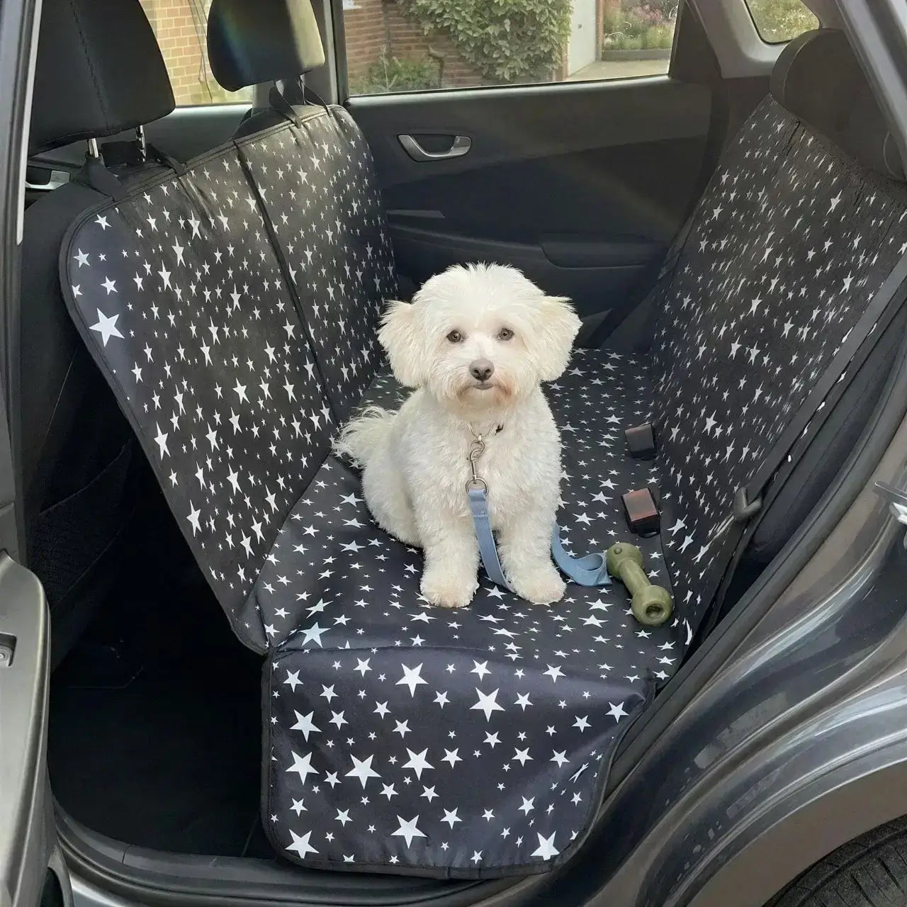 Un bichon frisé assis sur la housse de protection pour chien pour voiture noire au motif d'étoiles.