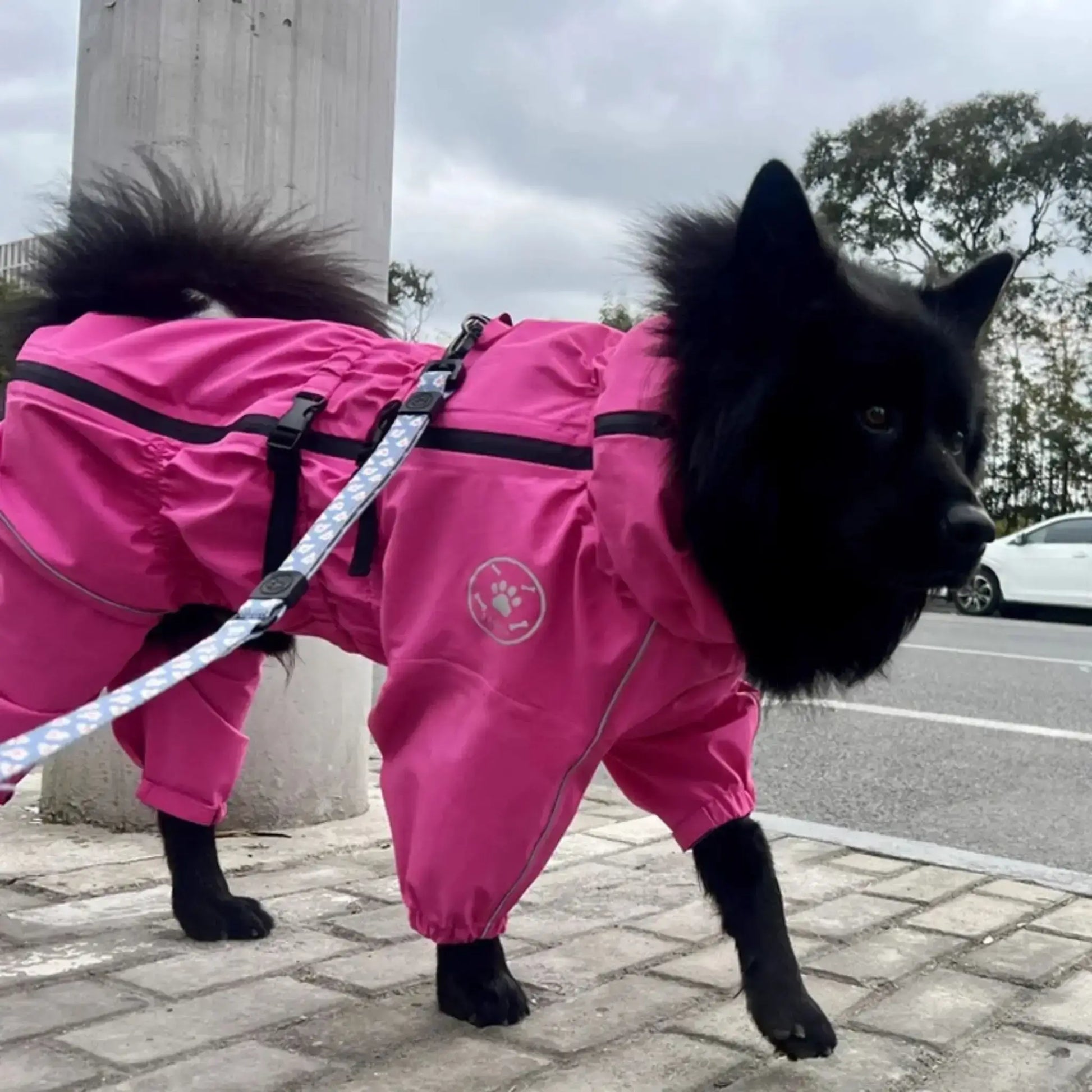 Un husky noir porte un imperméable pour chien rose fuchsia en ville.