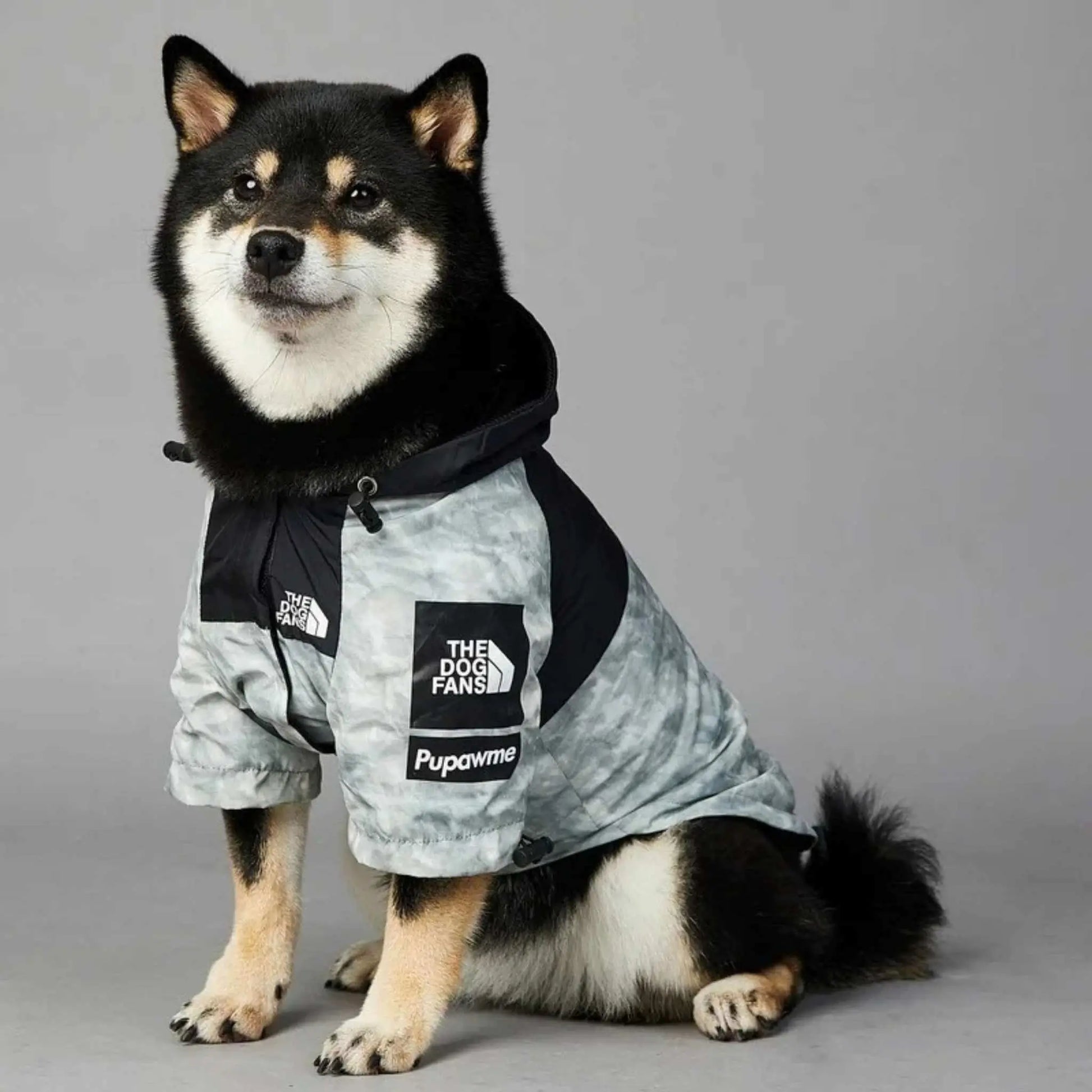 Un shiba inu assis est vêtu d'un imperméable pour chien gris.