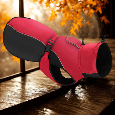 impermeable chien rouge noir pluie couleur automne