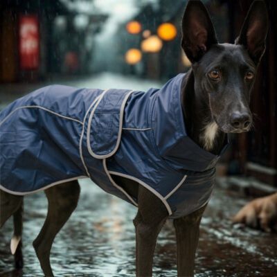 impermeable pour chien couleur bleu