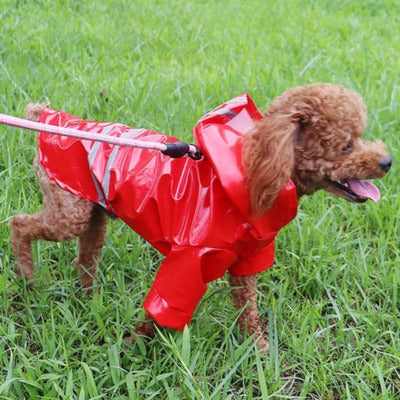 impermeable pour chien petit caniche impermeable rouge joue herbes