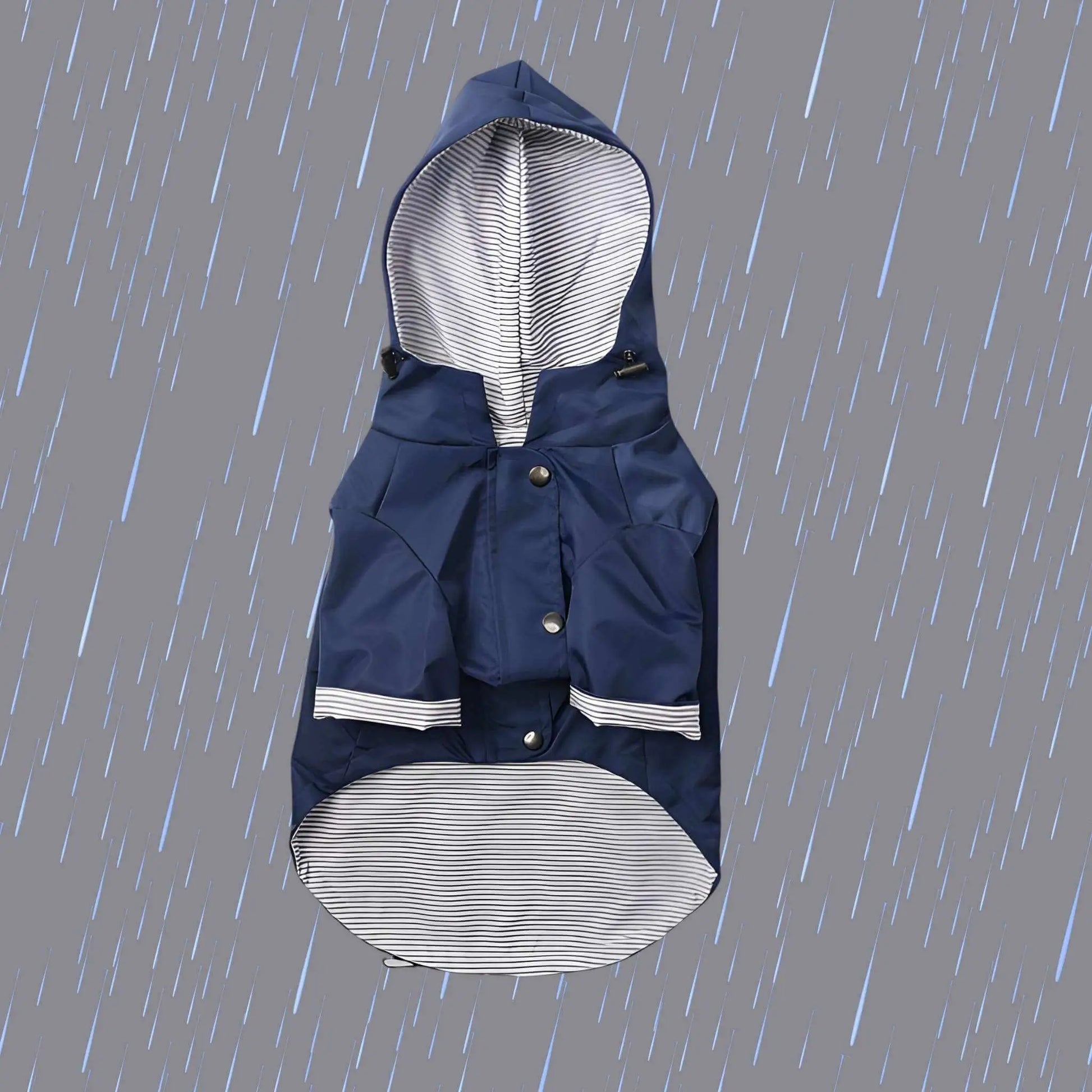 Un imperméable pour notre chien bleu sous la pluie.
