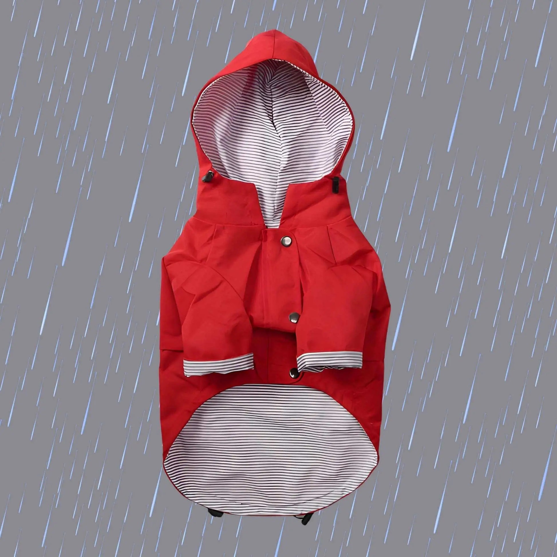 Un imperméable pour notre chien rouge sous la pluie.