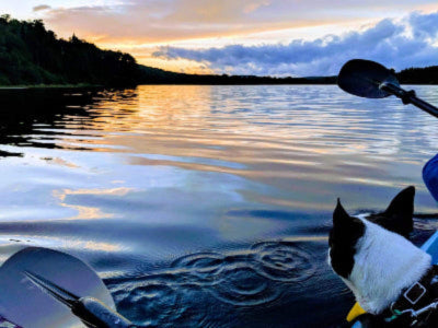 jolianimaux chien sur kayak lac coucher soleil