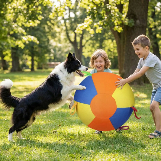 Des enfants jouent avec un border collie dans un parc avec un jouet pour chien.