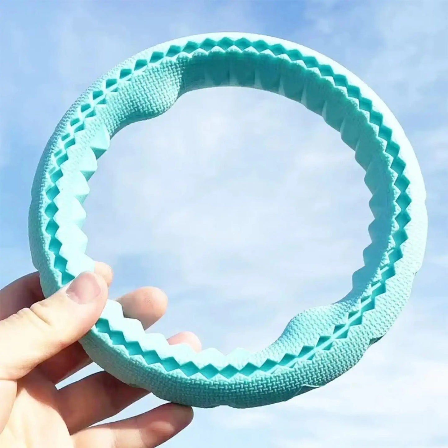 Un jouet pour chien de couleur turquoise.