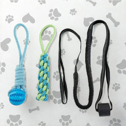 Kit de jouet interactif pour chien de couleur bleu.